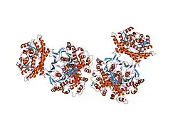 1pl0: Crystal structure of human ATIC in complex with folate-based inhibitor, BW2315U89UC
