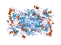 1pu4: Crystal structure of human vascular adhesion protein-1