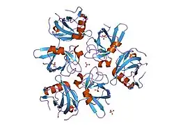1qdn: AMINO TERMINAL DOMAIN OF THE N-ETHYLMALEIMIDE SENSITIVE FUSION PROTEIN (NSF)