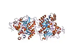 1rg1: Crystal structure of human Tyrosyl-DNA Phosphodiesterase complexed with vanadate, octopamine, and tetranucleotide AGTT