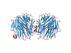 1rj8: The crystal structure of TNF family member EDA-A2