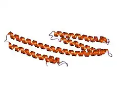 1rw6: human APP core domain