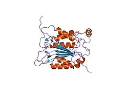1sc3: Crystal structure of the human caspase-1 C285A mutant in complex with malonate