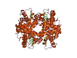 1si4: Crystal structure of Human hemoglobin A2 (in R2 state) at 2.2 A resolution