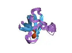 1srm: 1H AND 15N ASSIGNMENTS AND SECONDARY STRUCTURE OF THE SRC SH3 DOMAIN