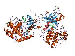 1szm:DUAL BINDING MODE OF BISINDOLYLMALEIMIDE 2 TO PROTEIN KINASE A (PKA)