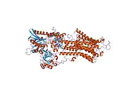 1t5s: Structure of the (SR)Ca2+-ATPase Ca2-E1-AMPPCP form