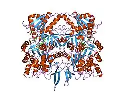 1tll: CRYSTAL STRUCTURE OF RAT NEURONAL NITRIC-OXIDE SYNTHASE REDUCTASE MODULE AT 2.3 A RESOLUTION.