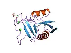 1tn3: THE C-TYPE LECTIN CARBOHYDRATE RECOGNITION DOMAIN OF HUMAN TETRANECTIN