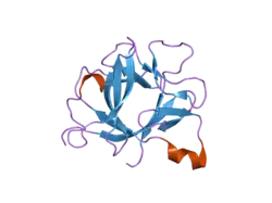1tp0: Triple mutation in interleukin 1 beta cavity:replacement of phenylalanines with tryptophan.