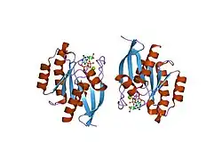 1u8z: Crystal structures of Ral-GppNHp and Ral-GDP reveal two novel binding sites that are also present in Ras and Rap