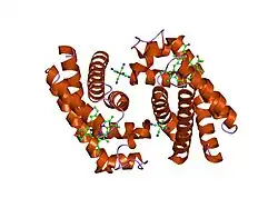 1ut0: CRYSTAL STRUCTURE OF CYTOGLOBIN: THE FOURTH GLOBIN TYPE DISCOVERED IN MAN DISPLAYS HEME HEXA-COORDINATION