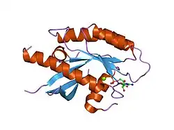 1vg1: GDP-Bound Rab7