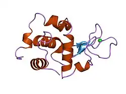 1w08: STRUCTURE OF T70N HUMAN LYSOZYME