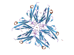 1waa: IG27 PROTEIN DOMAIN