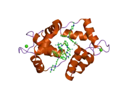 1wrk: Crystal structure of the N-terminal domain of human cardiac troponin C in complex with trifluoperazine (orthrombic crystal form)