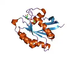 1x1s: Crystal structure of M-Ras in complex with GppNHp
