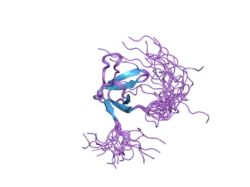 1x43: Solution structure of the SH3 domain of Endophilin B1 (Sh3g1b1)