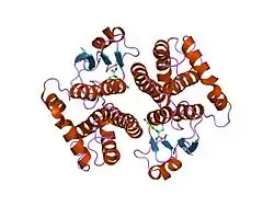1xw5: Human glutathione s-transferase M2-2 (E.C.2.5.1.18)complexed with glutathione, monoclinic crystal form