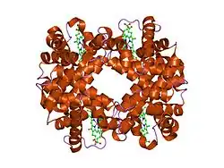 1xz4: Intersubunit Interactions Associated with Tyr42alpha Stabilize the Quaternary-T Tetramer but are not Major Quaternary Constraints in Deoxyhemoglobin: alphaY42A deoxyhemoglobin no-salt