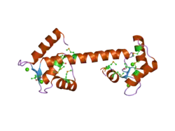 1y6w: Trapped intermediate of calmodulin