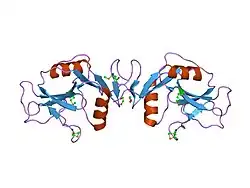 1yxj: Crystal structure of human lectin-like oxidized low-density lipoprotein receptor 1 (LOX-1) at low pH