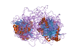 1z87: solution structure of the split PH-PDZ Supramodule of alpha-Syntrophin