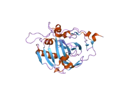 1z93: Human Carbonic Anhydrase III:Structural and Kinetic study of Catalysis and Proton Transfer.