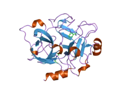 1zhp: Crystal Structure of the Catalytic Domain of Coagulation Factor XI in Complex with Benzamidine (S434A-T475A-K505 Mutant)