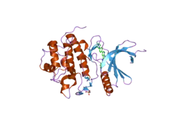 1zys: Co-crystal structure of Checkpoint Kinase Chk1 with a pyrrolo-pyridine inhibitor