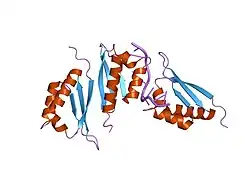 1zzj: Structure of the third KH domain of hnRNP K in complex with 15-mer ssDNA