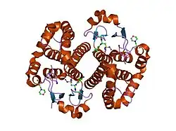 2a2r: Crystal Structure of Glutathione Transferase Pi in complex with S-nitrosoglutathione