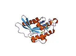2a5j: Crystal Structure of Human RAB2B