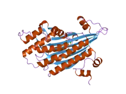 2aex: The 1.58A Crystal Structure of Human Coproporphyrinogen Oxidase Reveals the Structural Basis of Hereditary Coproporphyria