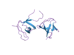 2ak5: beta PIX-SH3 complexed with a Cbl-b peptide