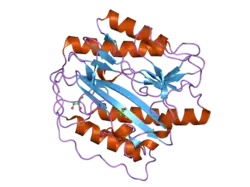 2b3k: Crystal structure of Human Methionine Aminopeptidase Type I in the holo form