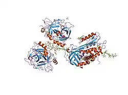 2b5t: 2.1 Angstrom structure of a nonproductive complex between antithrombin, synthetic heparin mimetic SR123781 and two S195A thrombin molecules