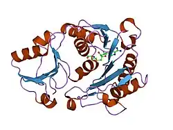 2b9e: Human NSUN5 protein