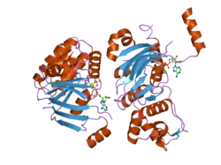 2bbt: Human deltaF508 NBD1 with two solublizing mutations.