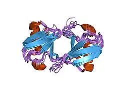 2bgf: NMR STRUCTURE OF LYS48-LINKED DI-UBIQUITIN USING CHEMICAL SHIFT PERTURBATION DATA TOGETHER WITH RDCS AND 15N-RELAXATION DATA