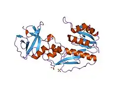 2bw0: CRYSTAL STRUCTURE OF THE HYDROLASE DOMAIN OF HUMAN 10-FORMYLTETRAHYDROFOLATE 2 DEHYDROGENASE