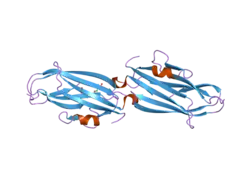 2bxw: CRYSTAL STRUCTURE OF RHOGDI LYS(135,138,141)TYR MUTANT