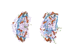 2c10: THE STRUCTURE OF A TRUNCATED, SOLUBLE VERSION OF SEMICARBAZIDE-SENSITIVE AMINE OXIDASE