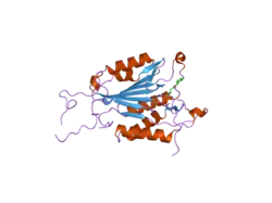 2c2m: CRYSTAL STRUCTURES OF CASPASE-3 IN COMPLEX WITH AZA-PEPTIDE MICHAEL ACCEPTOR INHIBITORS.