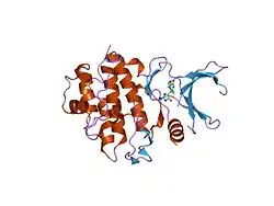 2c3j: IDENTIFICATION OF A BURIED POCKET FOR POTENT AND SELECTIVE INHIBITION OF CHK1: PREDICTION AND VERIFICATION