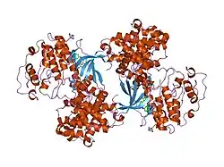 2c5p: DIFFERENTIAL BINDING OF INHIBITORS TO ACTIVE AND INACTIVE CDK2 PROVIDES INSIGHTS FOR DRUG DESIGN