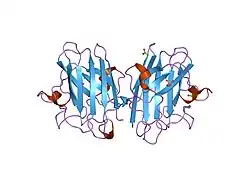 2c9u: 1.24 ANGSTROMS RESOLUTION STRUCTURE OF AS-ISOLATED CU-ZN HUMAN SUPEROXIDE DISMUTASE