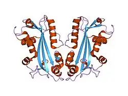 2car: CRYSTAL STRUCTURE OF HUMAN INOSINE TRIPHOSPHATASE