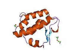 2cm0: THE PUB DOMAIN FUNCTIONS AS A P97 BINDING MODULE IN HUMAN PEPTIDE N-GLYCANASE.