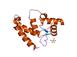 2d58: Human microglia-specific protein Iba1